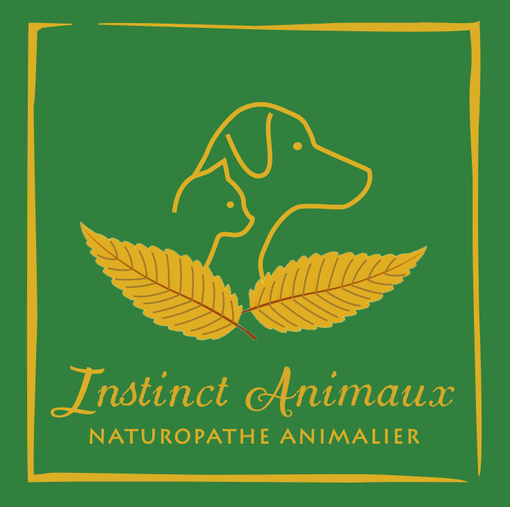 Instinct Animaux